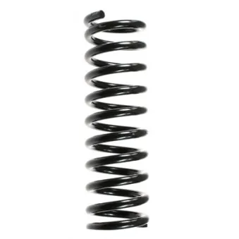 Ressort de suspension SPIDAN 48678