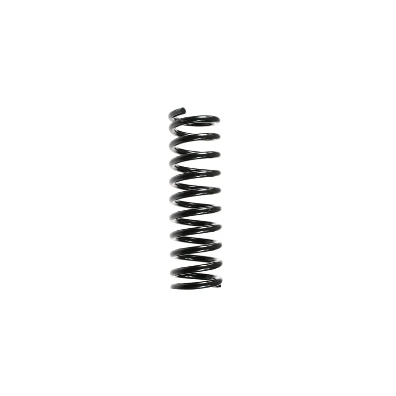 Ressort de suspension SPIDAN 48678