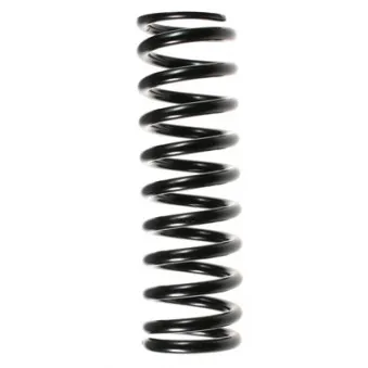 Ressort de suspension SPIDAN 48679