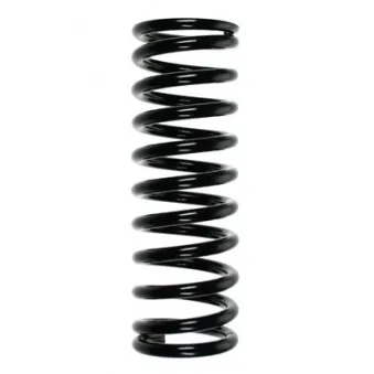 Ressort de suspension SPIDAN 48681
