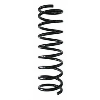 Ressort de suspension SPIDAN 48693