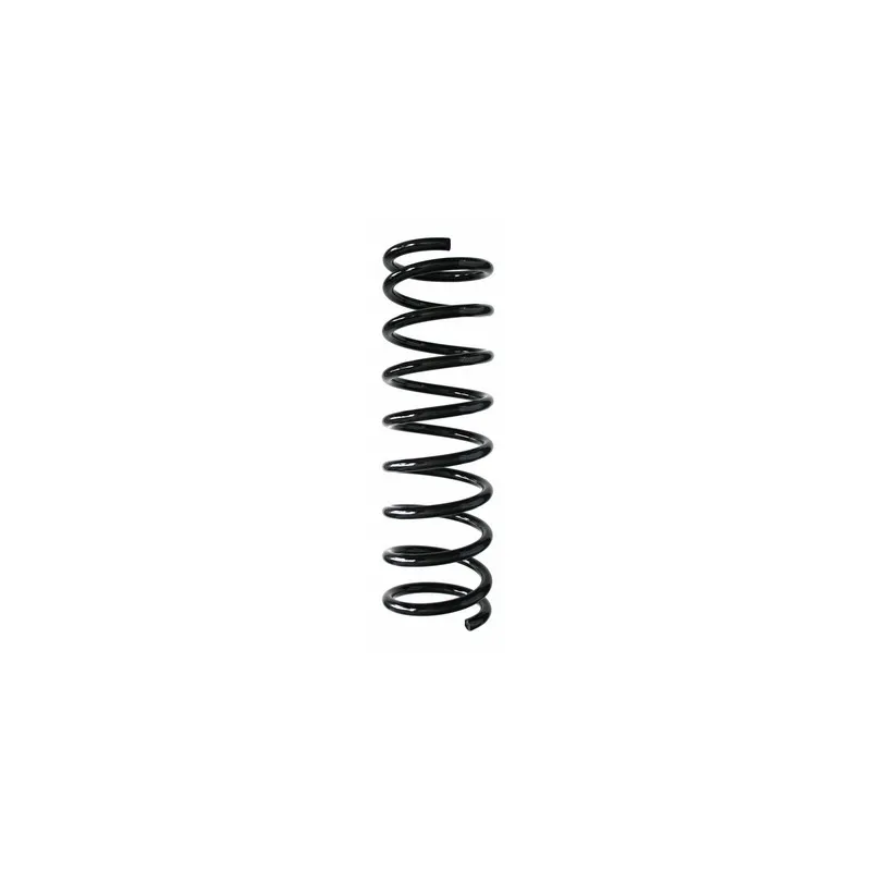Ressort de suspension SPIDAN 48693