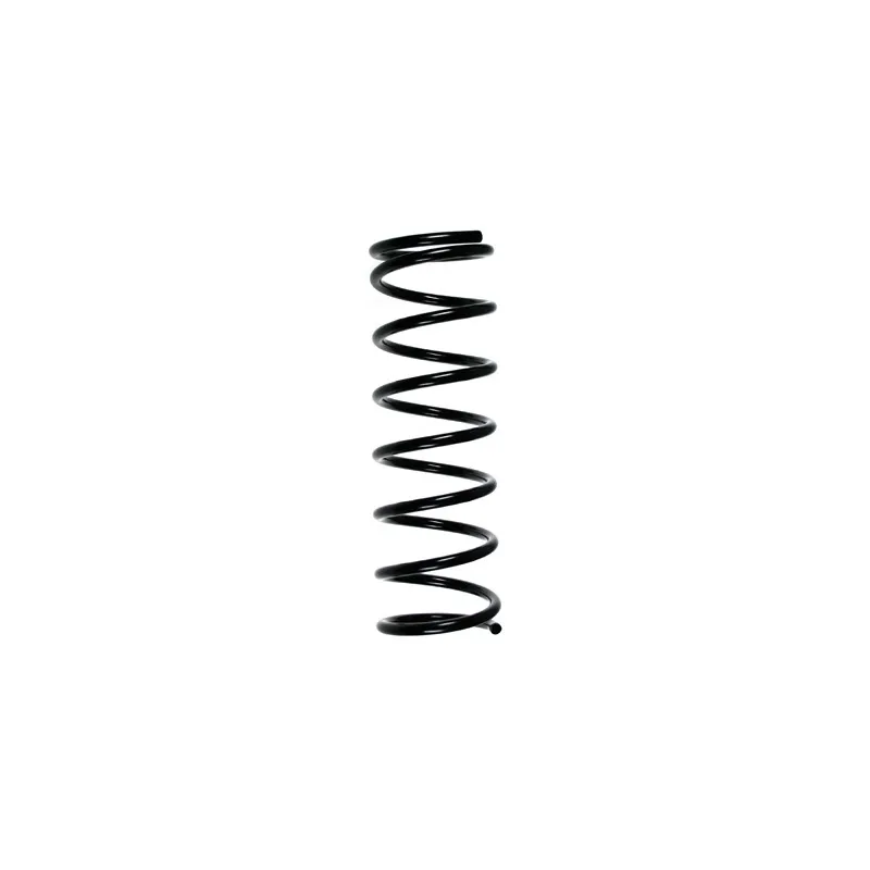 Ressort de suspension SPIDAN 48697