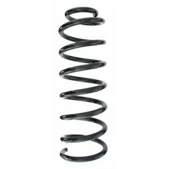 Ressort de suspension SPIDAN 48704