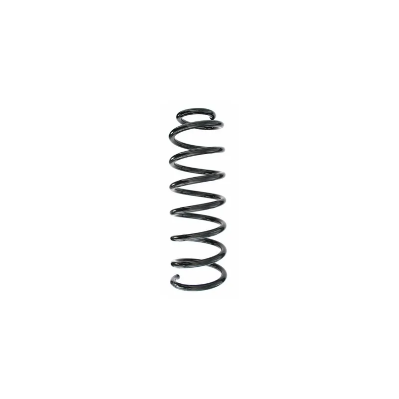 Ressort de suspension SPIDAN 48704