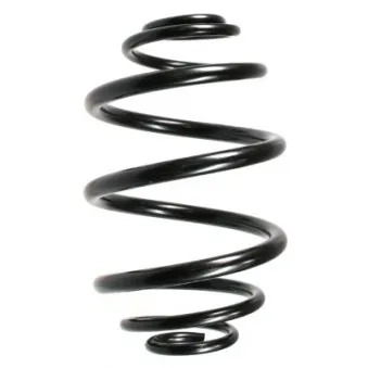 Ressort de suspension SPIDAN 48720