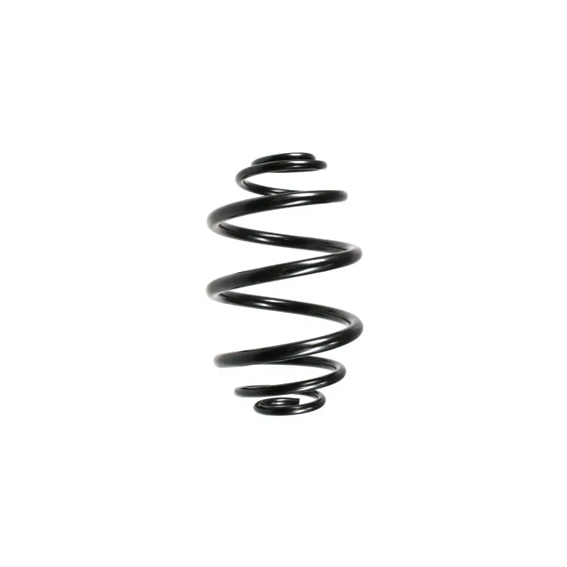 Ressort de suspension SPIDAN 48720