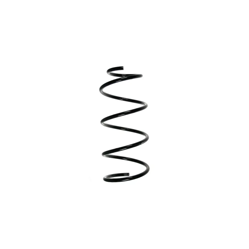 Ressort de suspension SPIDAN 48745