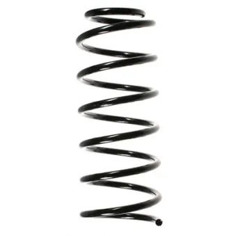 Ressort de suspension SPIDAN 48750