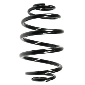 Ressort de suspension SPIDAN 48790