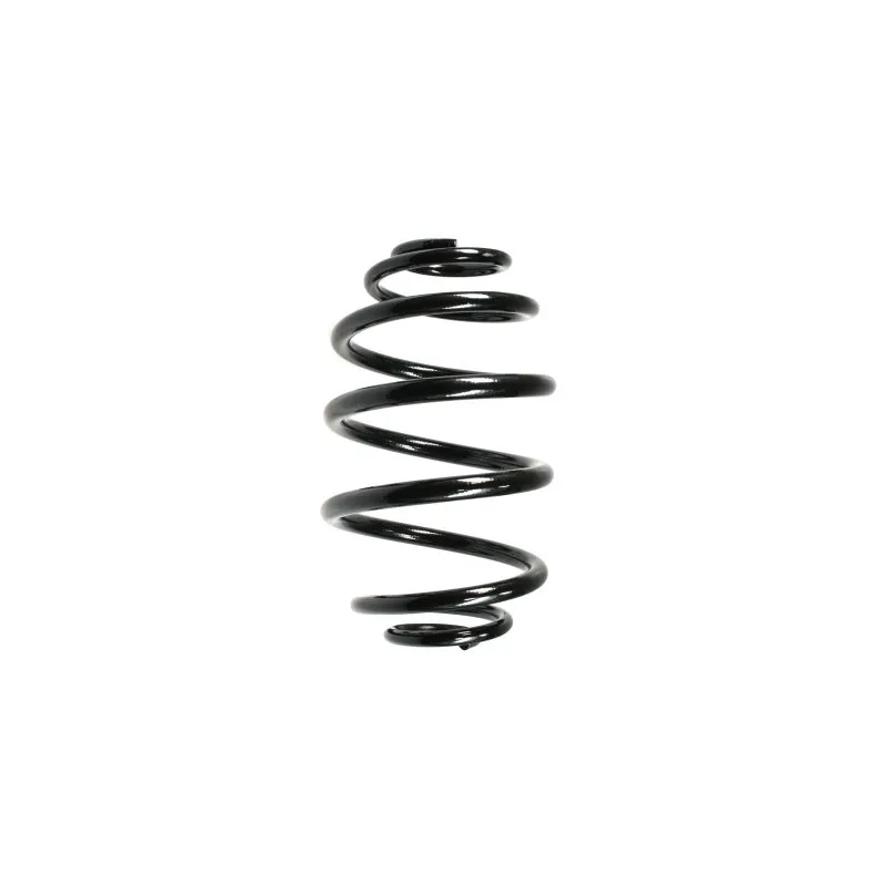 Ressort de suspension SPIDAN 48790
