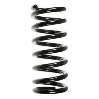 Ressort de suspension SPIDAN 48810
