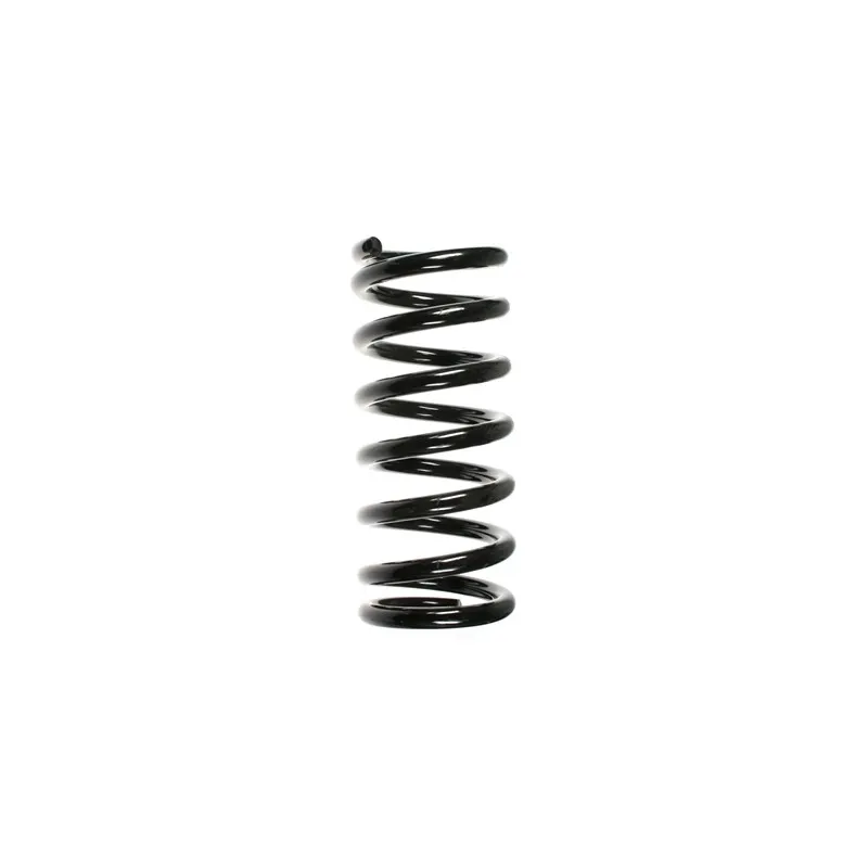 Ressort de suspension SPIDAN 48810