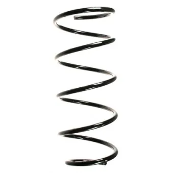 Ressort de suspension SPIDAN 48874