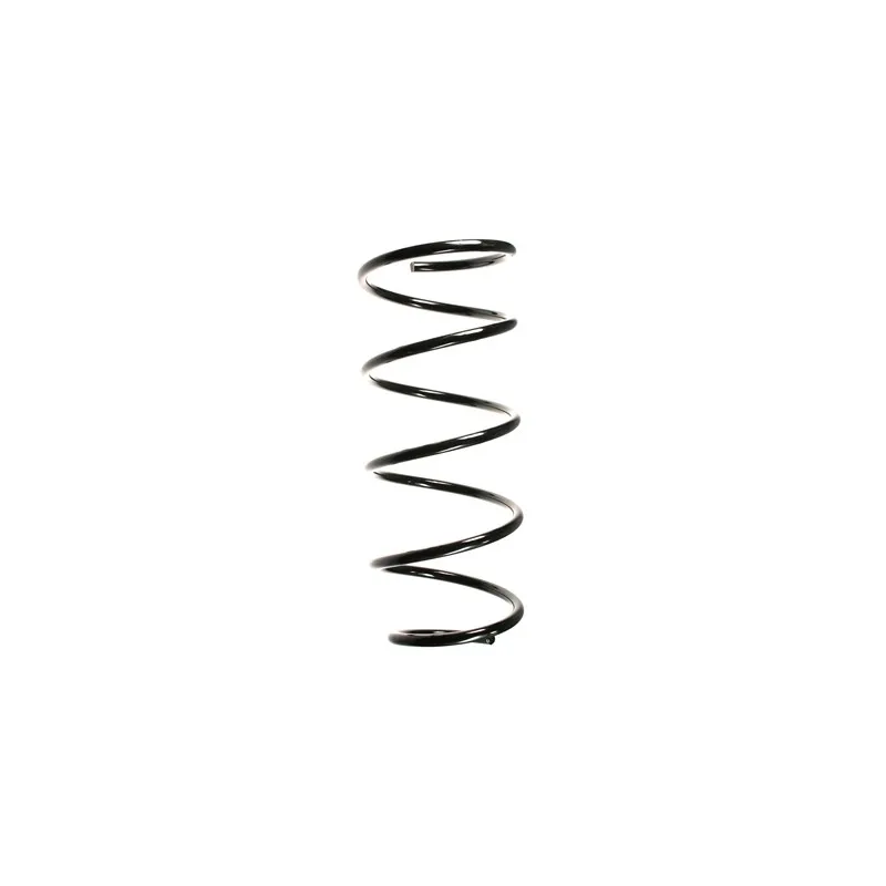 Ressort de suspension SPIDAN 48874