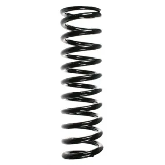 Ressort de suspension SPIDAN 48988