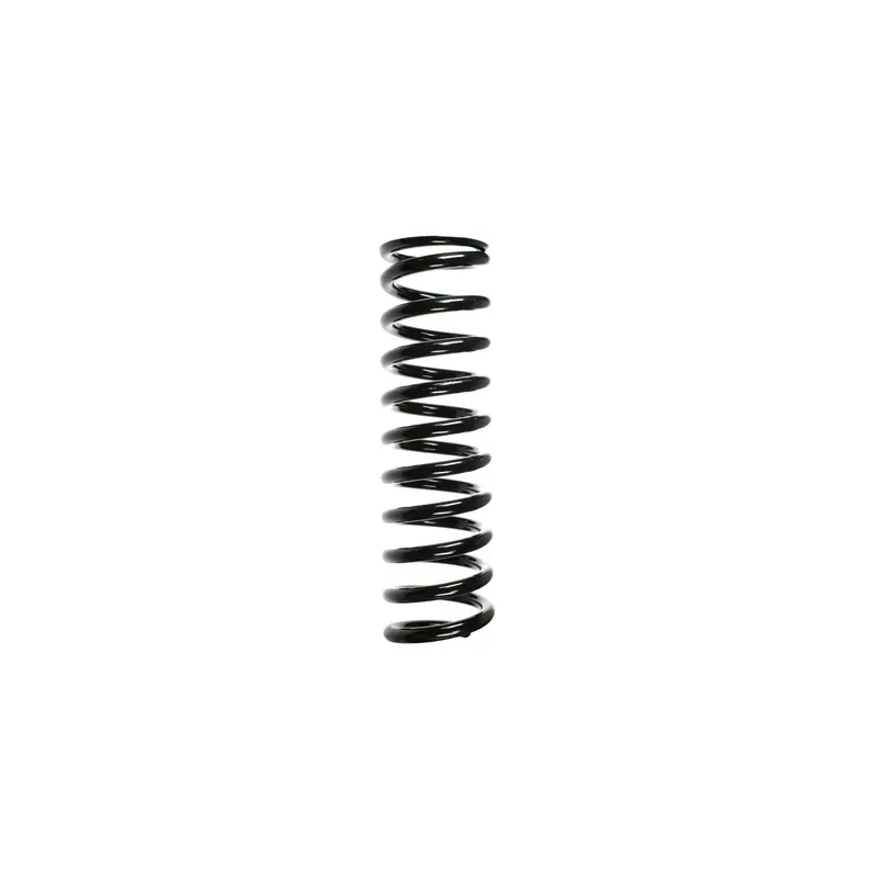 Ressort de suspension SPIDAN 48988