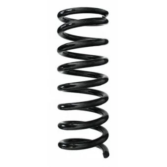 Ressort de suspension SPIDAN 48992