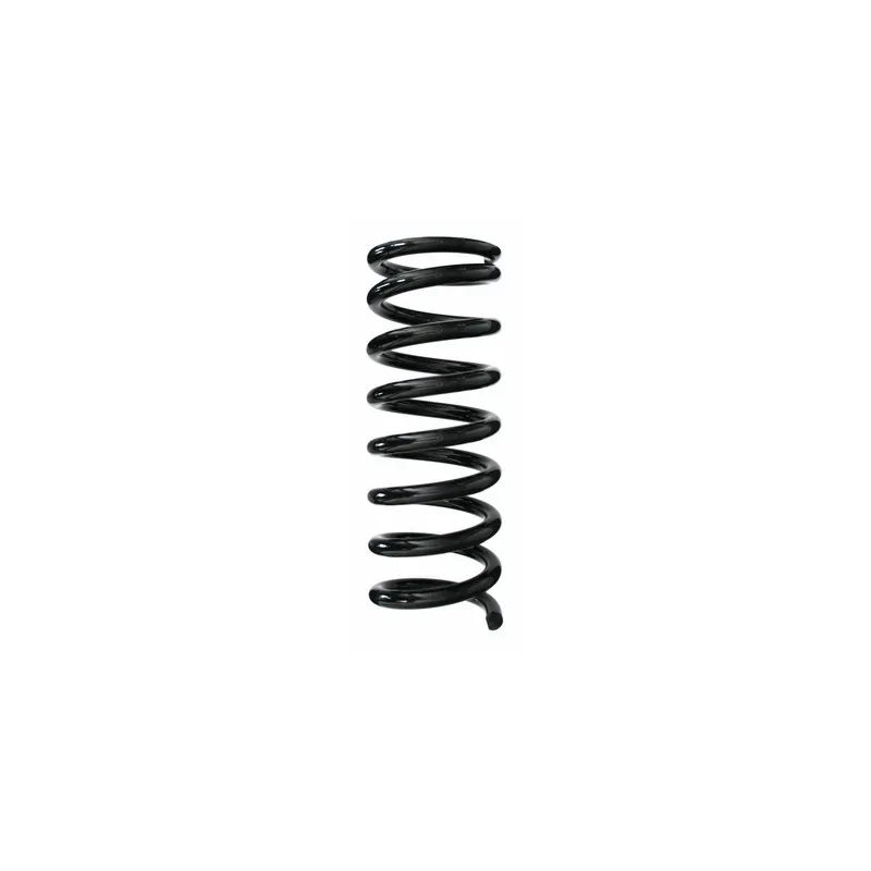 Ressort de suspension SPIDAN 48992