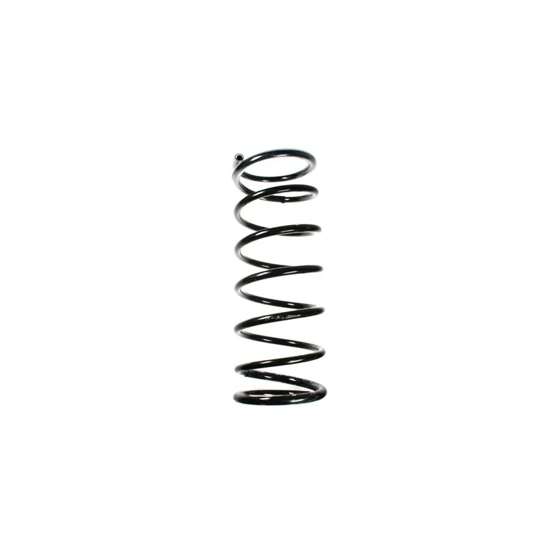Ressort de suspension SPIDAN 48994
