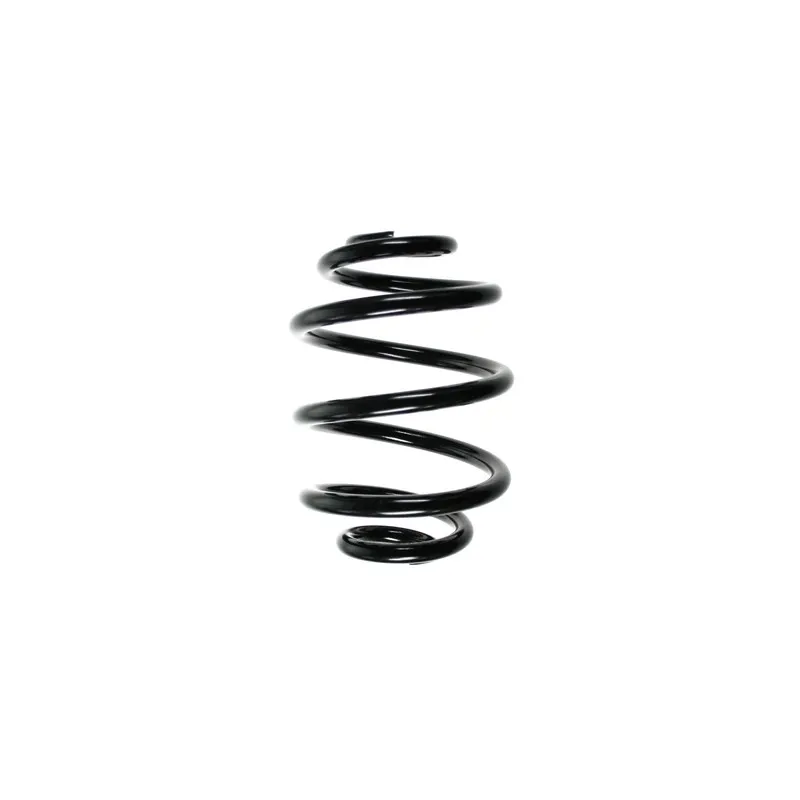 Ressort de suspension SPIDAN 49024