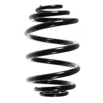 Ressort de suspension SPIDAN 49030