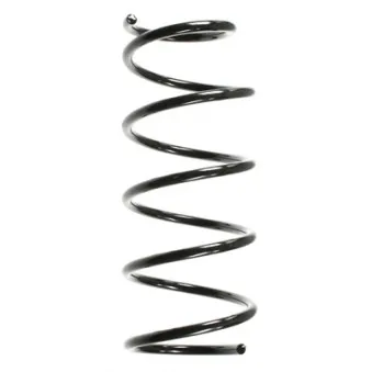 Ressort de suspension SPIDAN 49055