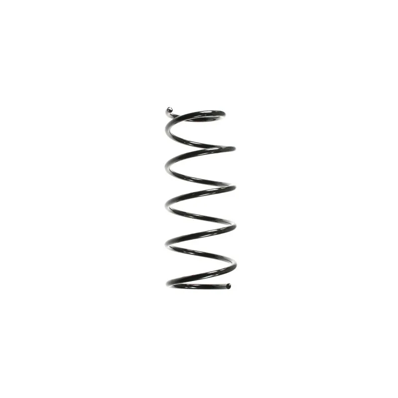 Ressort de suspension SPIDAN 49055