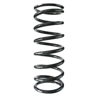 Ressort de suspension SPIDAN 49075