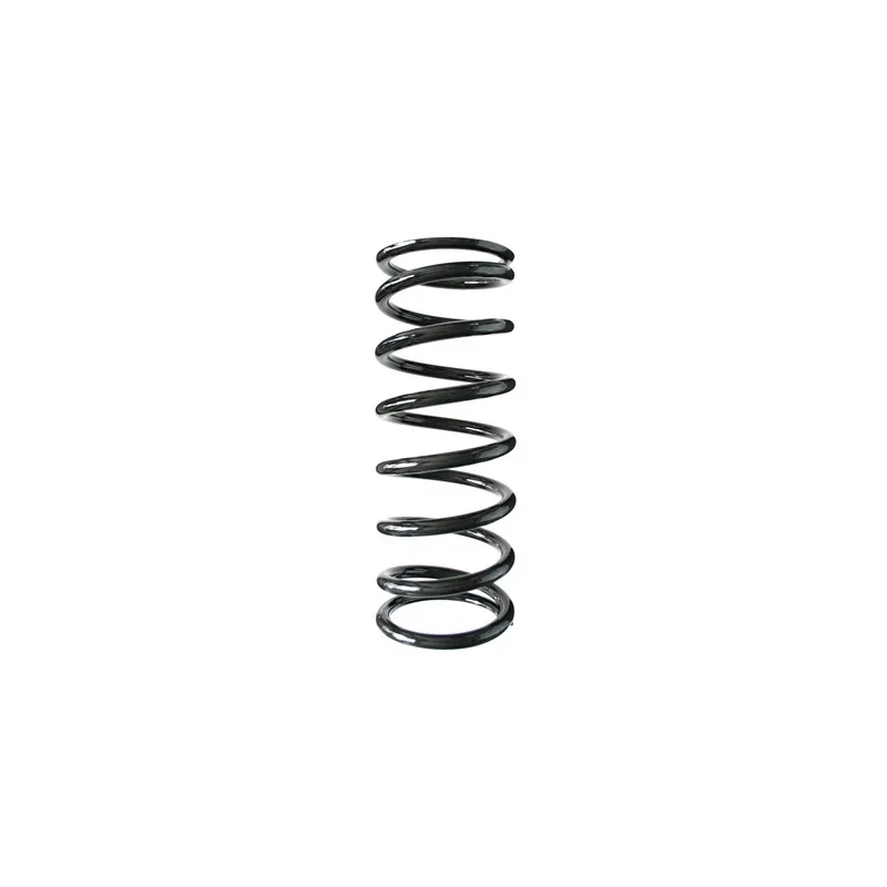 Ressort de suspension SPIDAN 49075