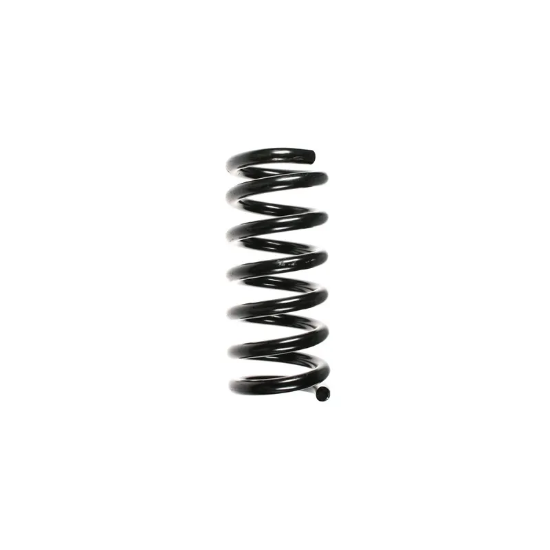 Ressort de suspension SPIDAN 49104