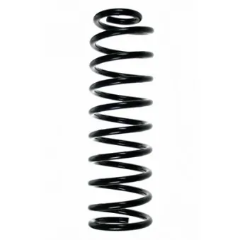 Ressort de suspension SPIDAN 49115