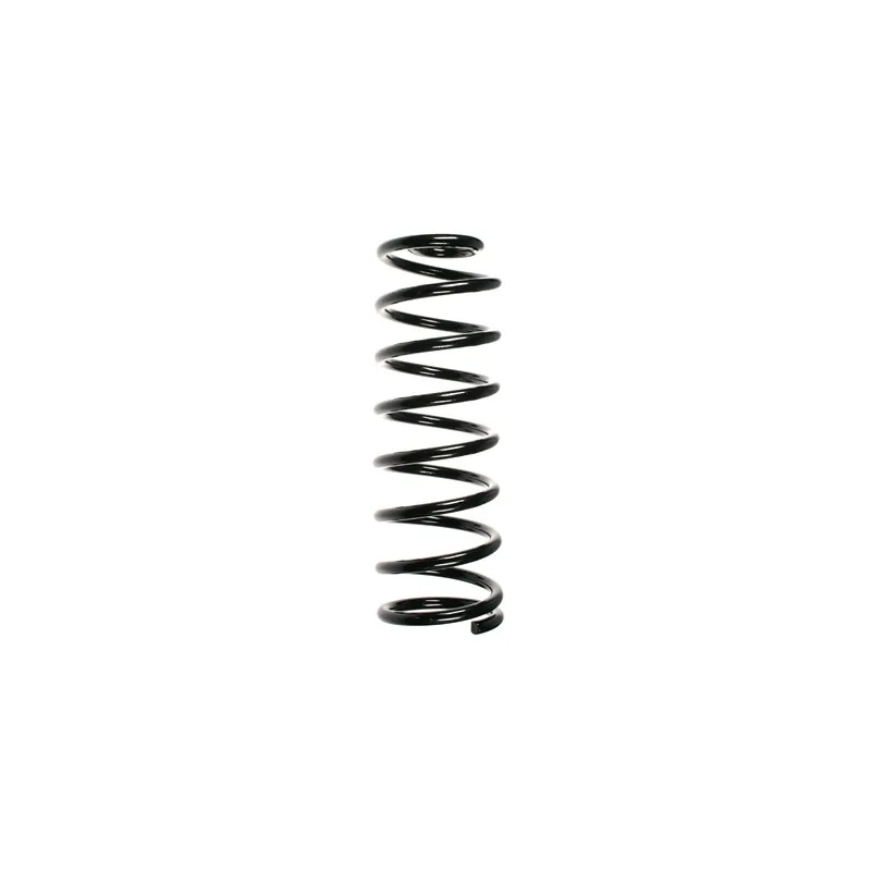 Ressort de suspension SPIDAN 49118