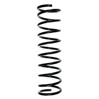 Ressort de suspension SPIDAN 49119