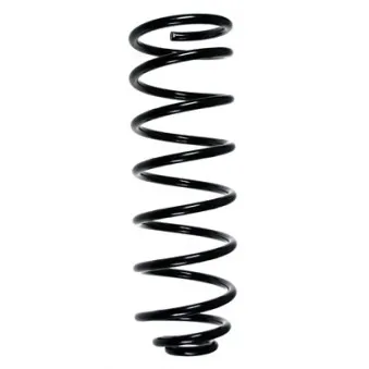 Ressort de suspension SPIDAN 49120
