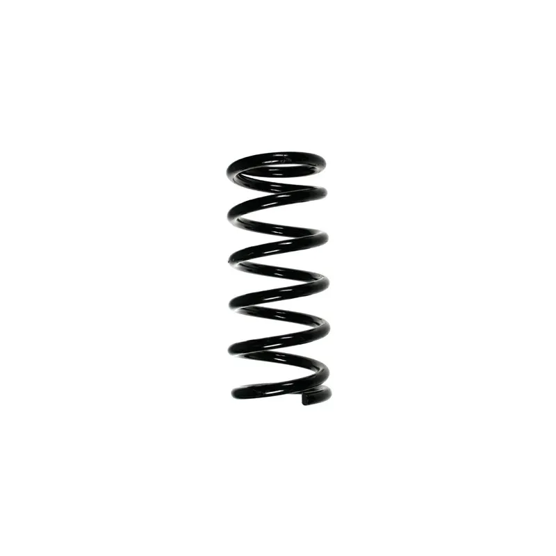 Ressort de suspension SPIDAN 49144