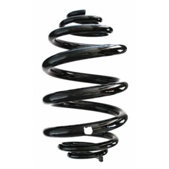 Ressort de suspension SPIDAN 49146