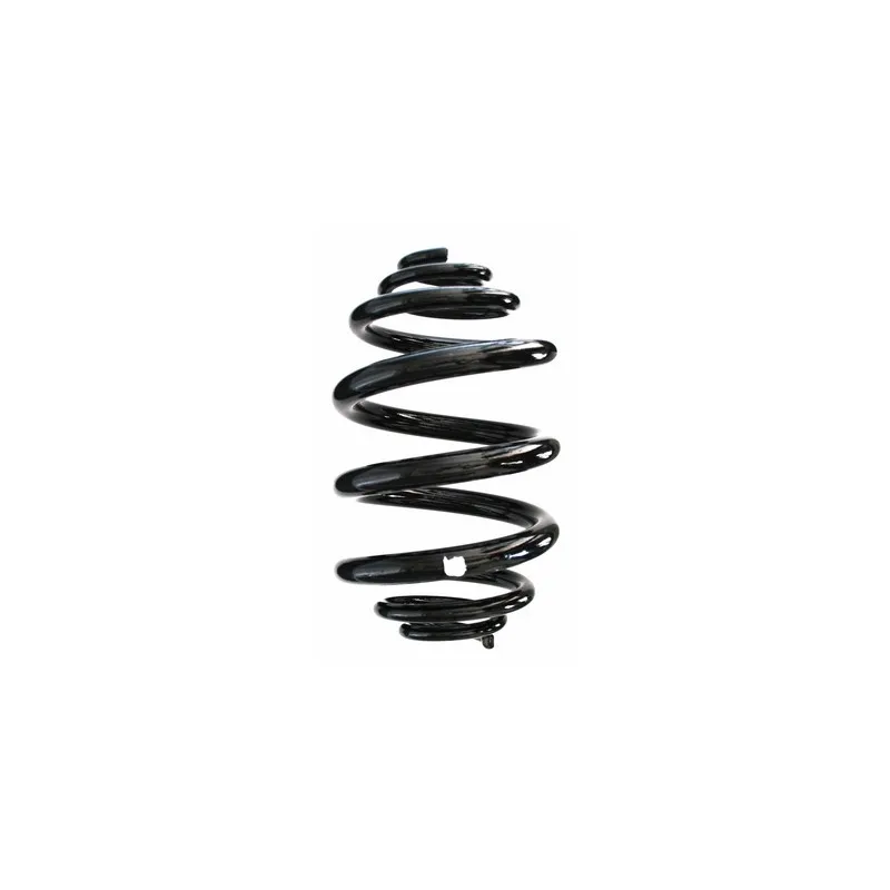 Ressort de suspension SPIDAN 49146