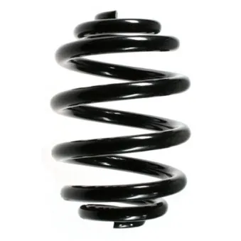 Ressort de suspension SPIDAN 49147