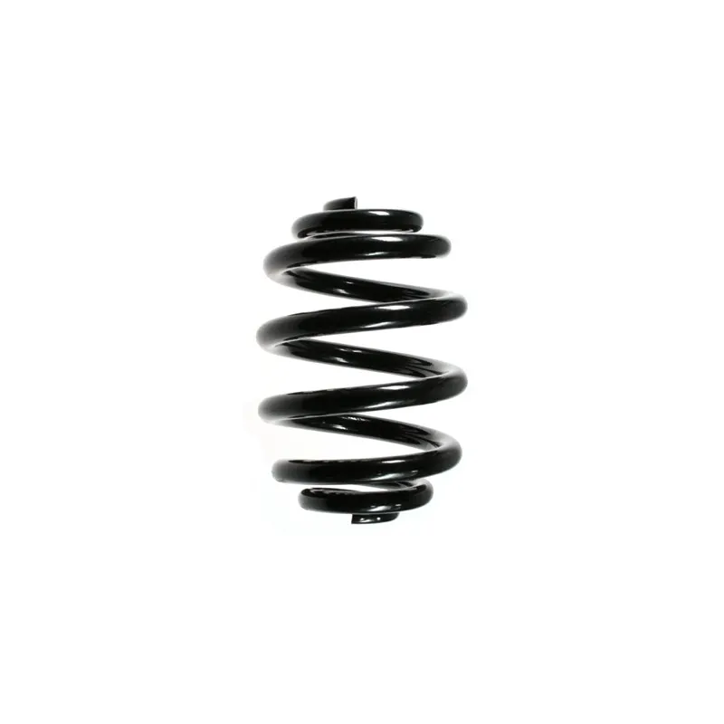 Ressort de suspension SPIDAN 49147