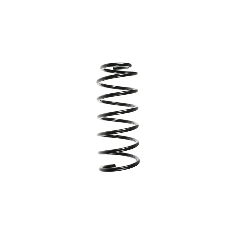 Ressort de suspension SPIDAN 49148