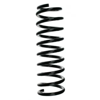 Ressort de suspension SPIDAN 49156