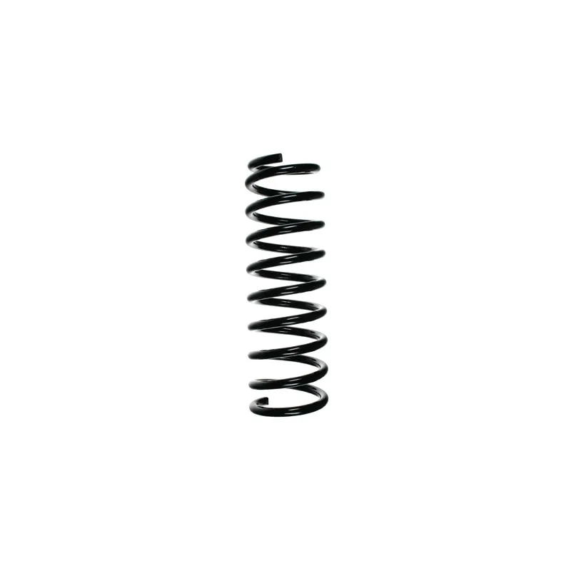 Ressort de suspension SPIDAN 49156