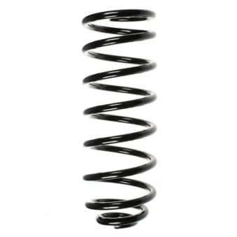 Ressort de suspension SPIDAN 49158