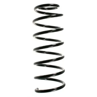Ressort de suspension SPIDAN 49160