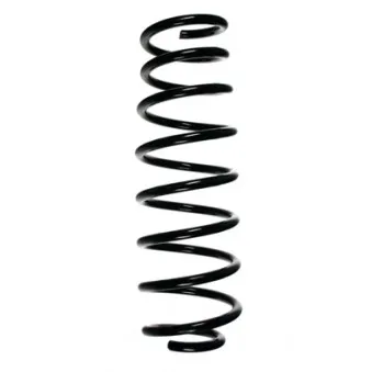 Ressort de suspension SPIDAN 49161