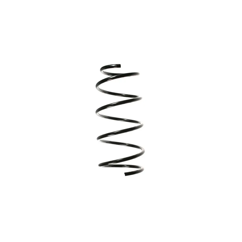 Ressort de suspension SPIDAN 49163