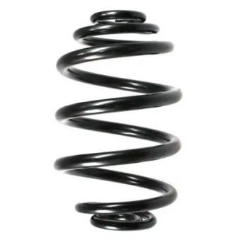 Ressort de suspension SPIDAN 49164