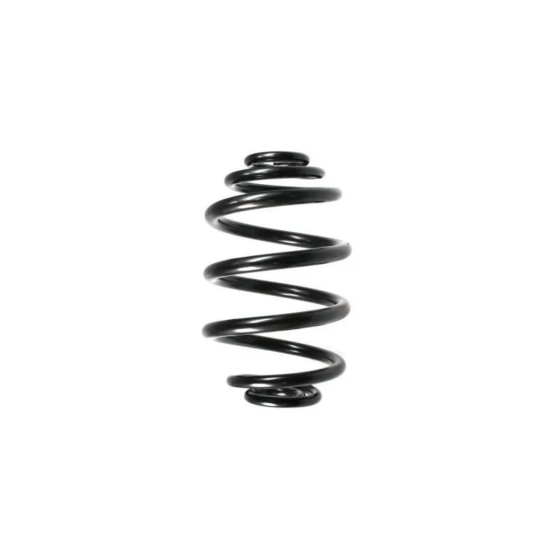 Ressort de suspension SPIDAN 49164