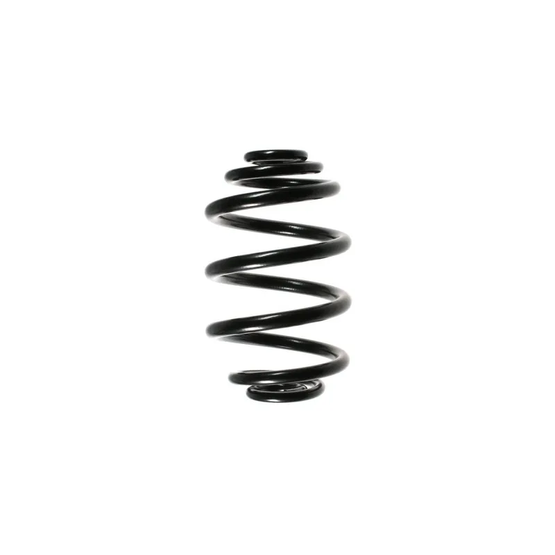 Ressort de suspension SPIDAN 49165